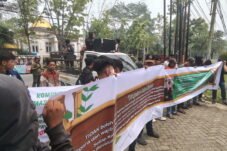 Koperatif Bela Direksi Agrinas, Minta Polemik Sawit Dilihat Secara Utuh