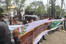 Koperatif Bela Direksi Agrinas, Minta Polemik Sawit Dilihat Secara Utuh