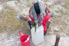 Anak Mondo NTT Jalan 3 Km Cari Air Bersih
