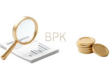 BPK catat temuan atas pembayaran tunjangan pegawai dan honorarium pejabat pengadaan di Kabupaten Sinjai.