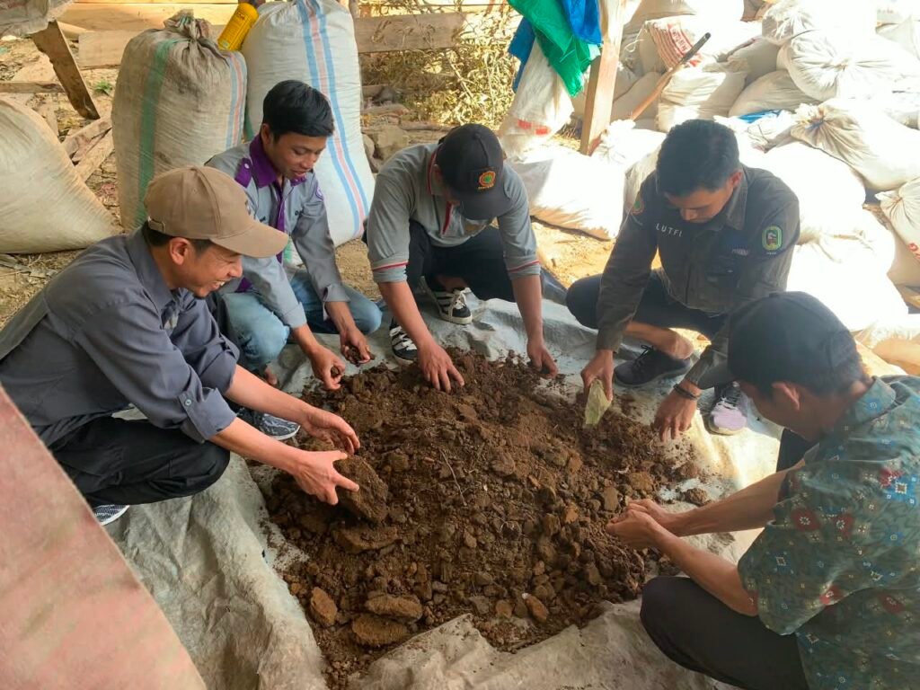 Bahan organik berupa kotoran sapi, kotoran kambing, dan sekam padi untuk pupuk kompos.