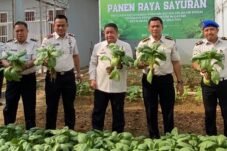 CAPTION FOTO: Kegiatan panen pakcoy dalam program ketahanan pangan Rutan Kelas IIB Sinjai saat kunjungan Kepala Kanwil Ditjenpas Sulawesi Selatan, Hernowo Sugiastanto, Kamis (22/10/2026