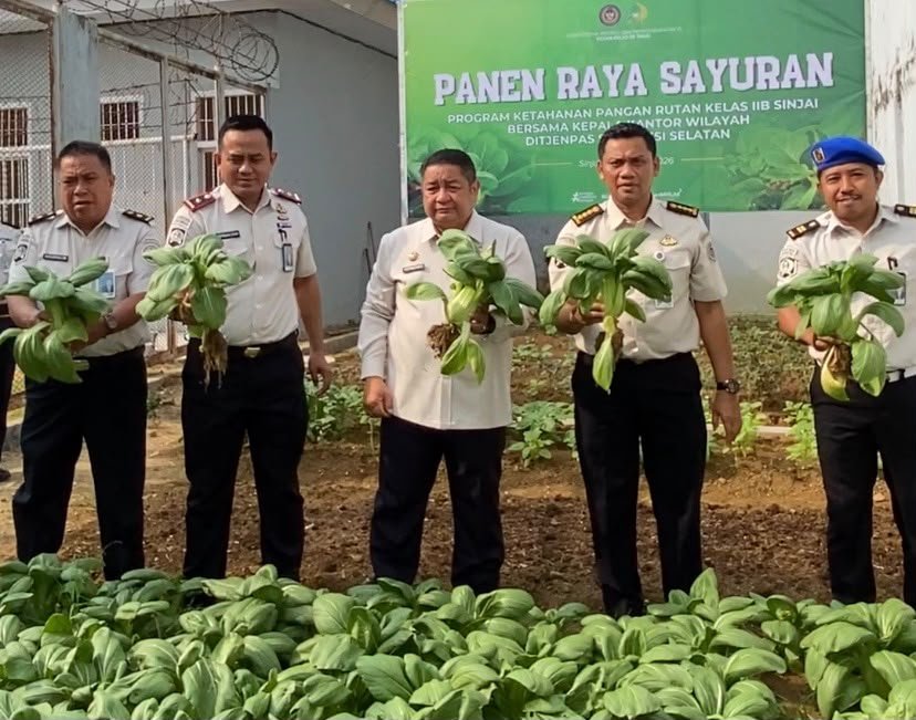 CAPTION FOTO: Kegiatan panen pakcoy dalam program ketahanan pangan Rutan Kelas IIB Sinjai saat kunjungan Kepala Kanwil Ditjenpas Sulawesi Selatan, Hernowo Sugiastanto, Kamis (22/10/2026