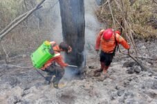Petugas gabungan menangani kebakaran hutan dan lahan di kawasan Taman Nasional Gunung Ciremai, Kuningan, Jawa Barat.