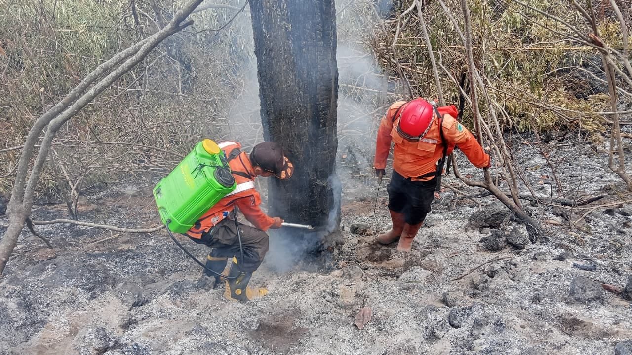 Petugas gabungan menangani kebakaran hutan dan lahan di kawasan Taman Nasional Gunung Ciremai, Kuningan, Jawa Barat.
