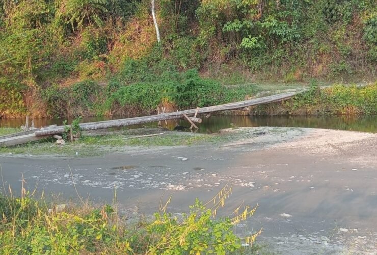 Tiga Titik Penyeberangan di Alaaha Disorot, Warga Minta Pemkab Kolaka Timur Bertindak