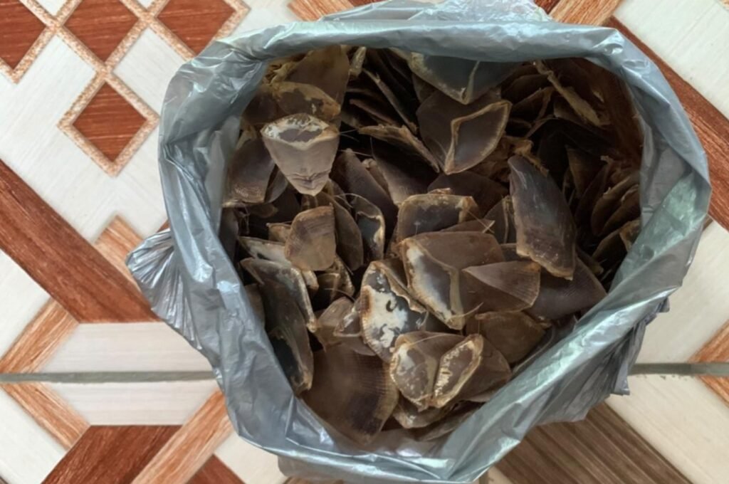 Personel Pos Mentari Satgas Pamtas Yonarmed 13/Nanggala menerima 1,1 kilogram sisik trenggiling dari warga di perbatasan Kapuas Hulu.