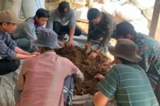 Pendampingan pembuatan pupuk kompos oleh penyuluh dan petani di Desa Turungan Baji, Sinjai Barat.